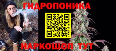 амф Заволжье