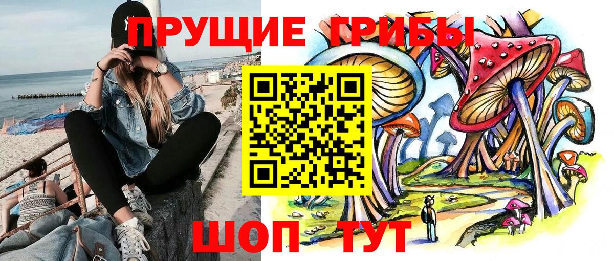 закладка  Галлюциногенные грибы мицелий  Псилоцибиновые грибы MAGIC MUSHROOMS  Вход с VPN  Назрань 