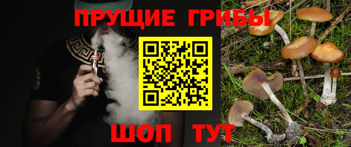 Псилоцибиновые грибы прущие грибы Назрань